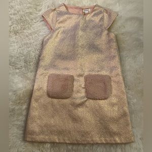 NWOT - Gymboree Pink Shiny Girls Ocassion Dress With Sherpa Fleece Pockets